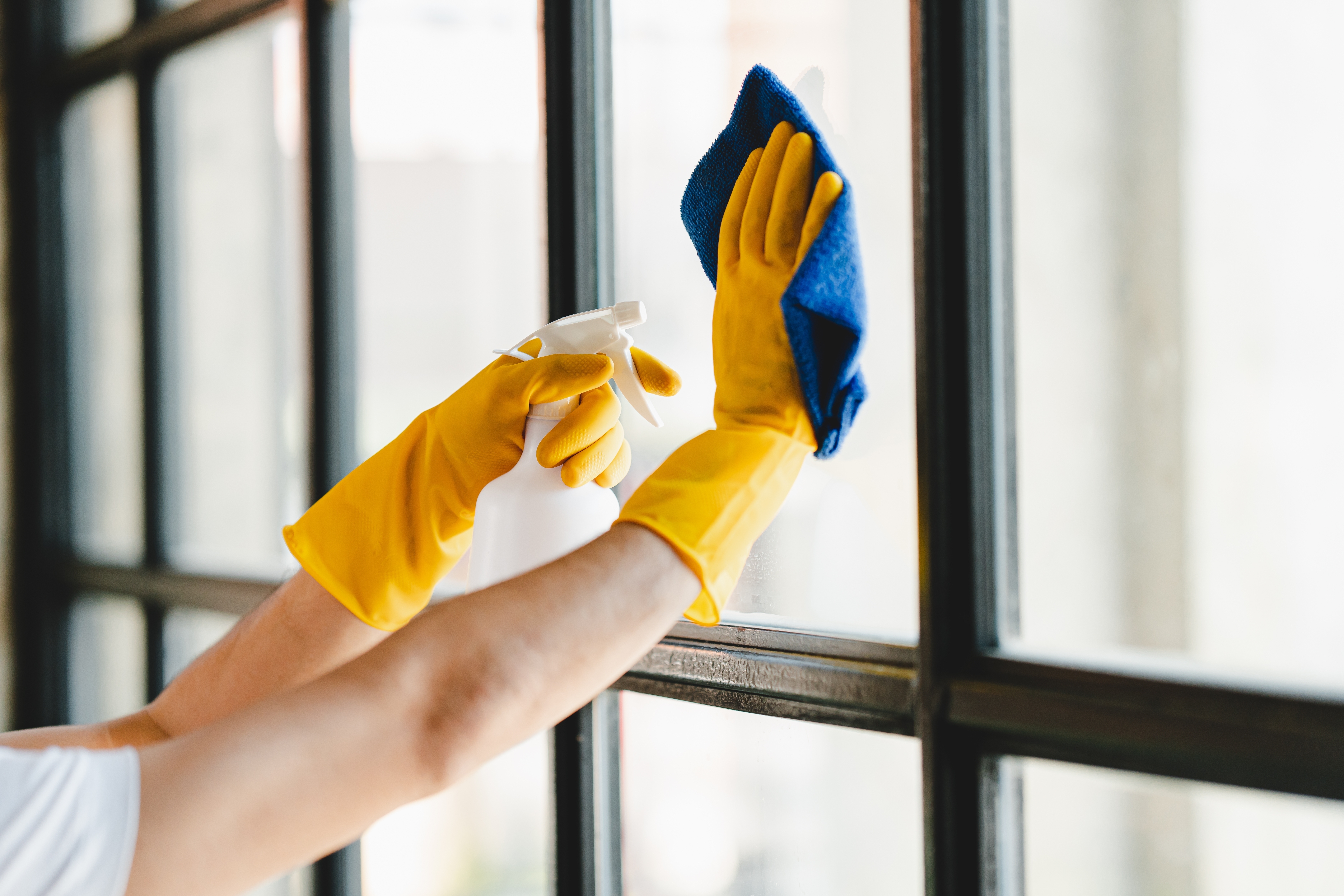 Window-Cleaning-Maintenance