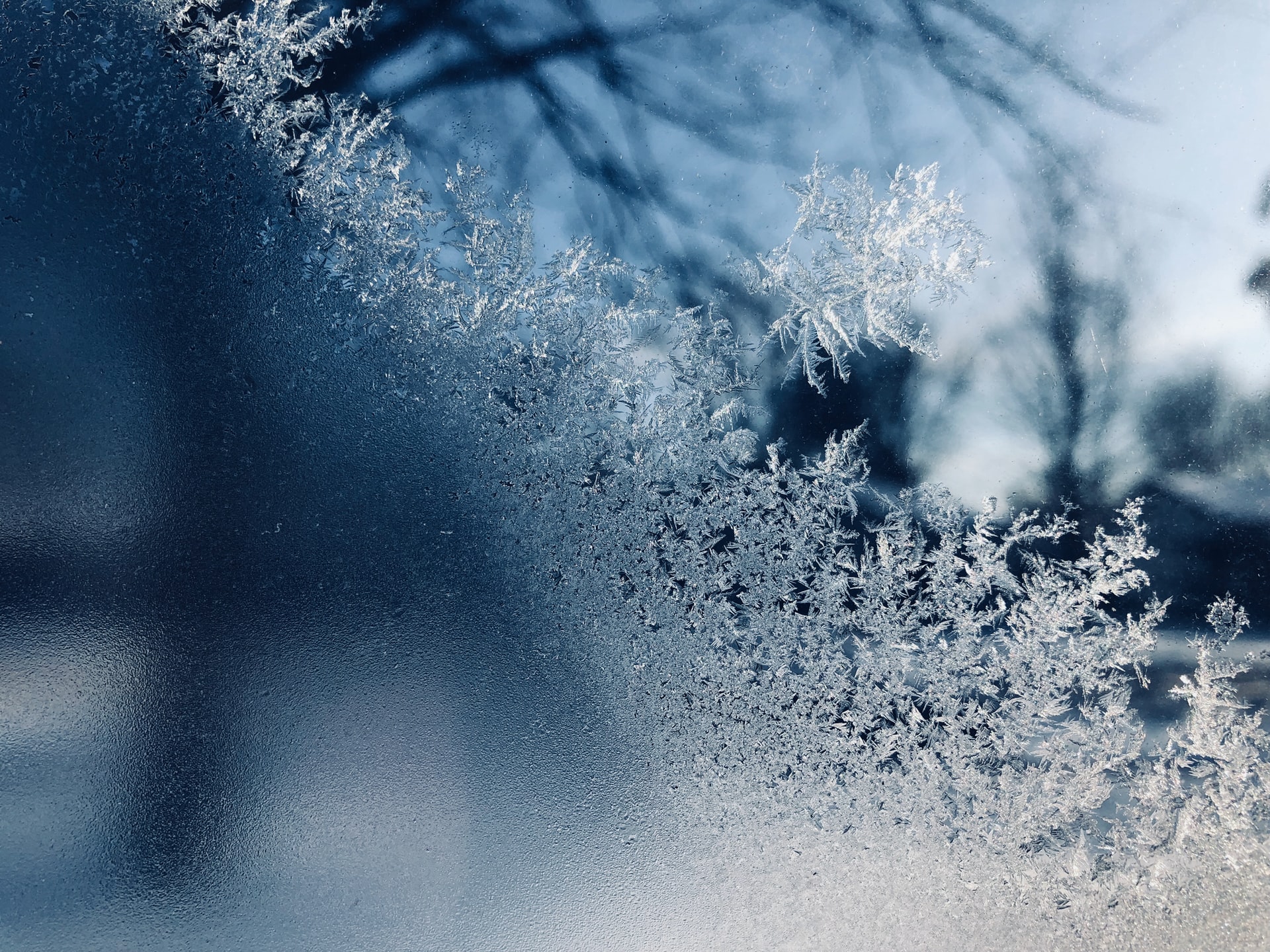 Frosted-Window